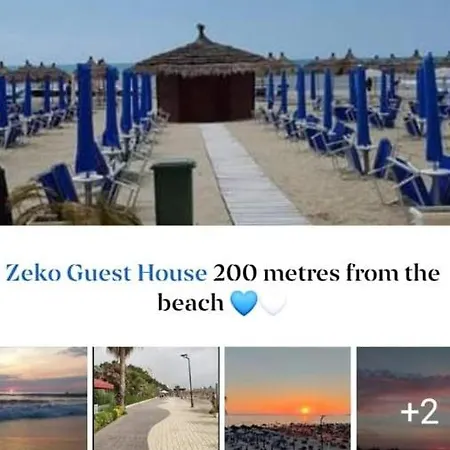 Apartment Zeko *